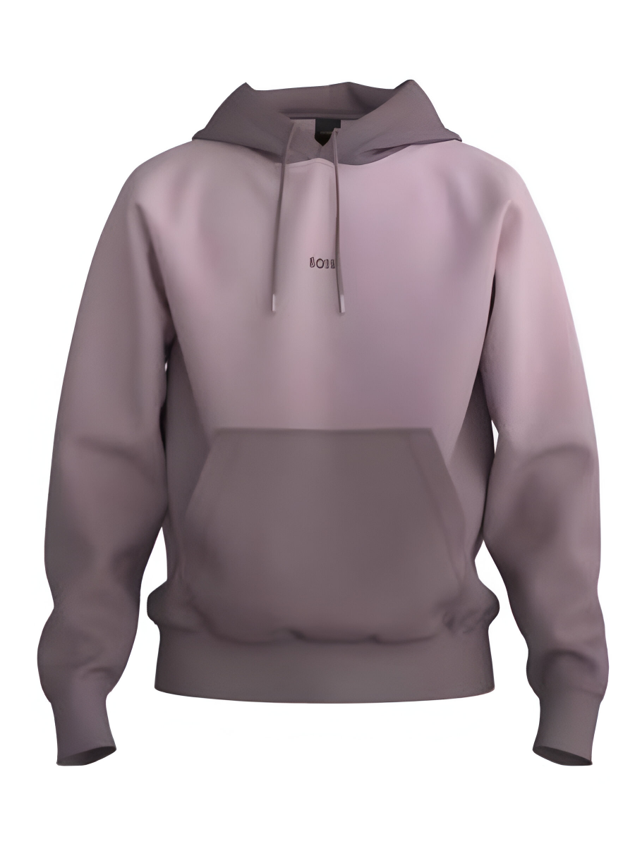 BOSS Hooded Sweatshirt - We_Gradienthoodie